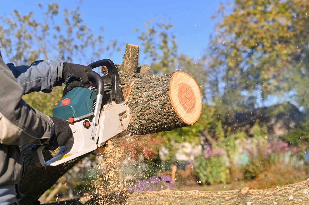 husqvarna profi láncfűrész